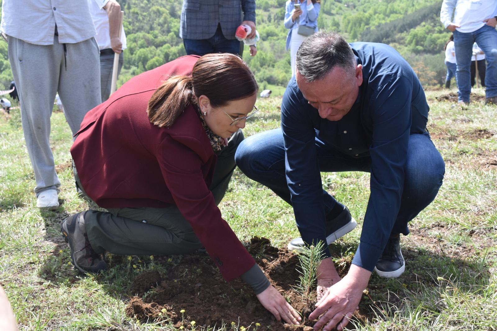 Rekordnih 550 miliona dinara izdvojeno za zaštitu životne sredine u Srbiji: Širi se površina pod zaštićenim područjem, u Kraljevu simbolično posađene sadnice crnog bora 
