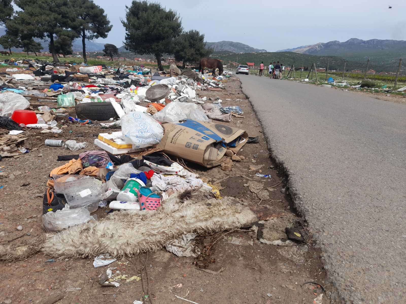 Leševi mrtvih životinja bačeni bez srama: Jezive slike na samo pet kilometara od centra Podgorice, ekološka bomba na Ćemovskom polju  (FOTO)