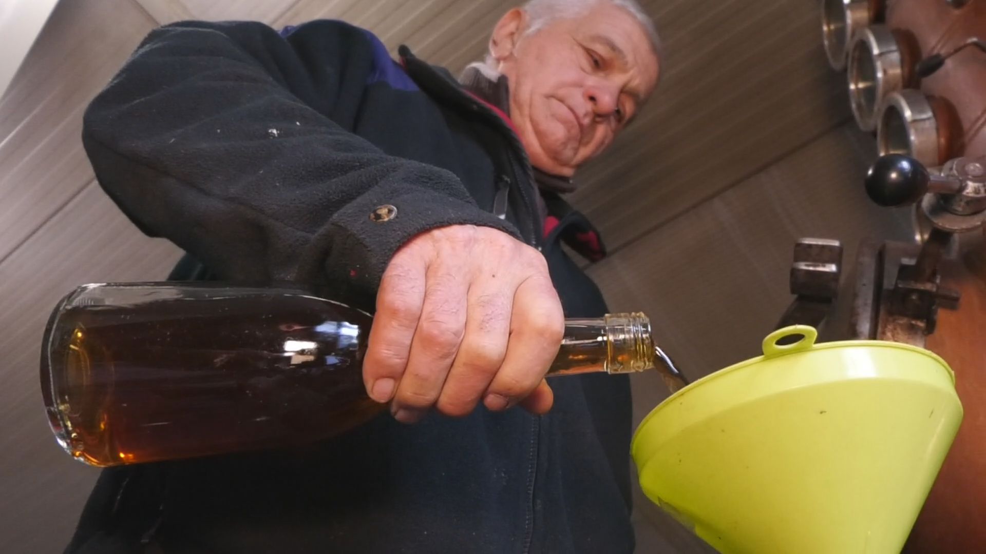 Dok je Srbije - biće i šljiva: Naša zemlja prva u Evropi po proizvodnji ovog voća. zasadi se prostiru na preko 70.000 hektara (FOTO)