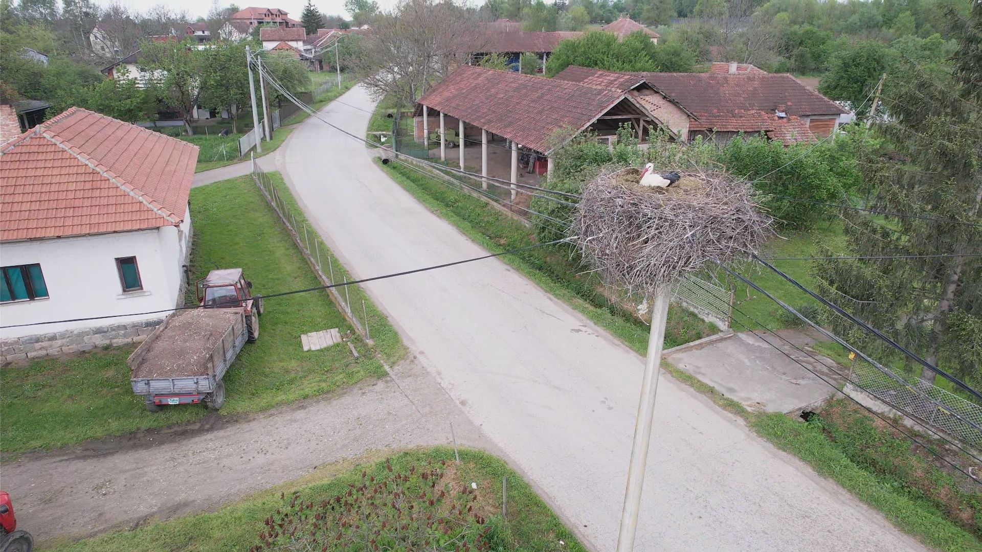 Svaki dan im donosi meso i povrće, a ako je kofa prazna rodac sa njim ide do prodavnice: Nesvakidašnja priča o ljubavi između čoveka i ptica, Radoš iz Miločaja ima divne pernate goste (FOTO)