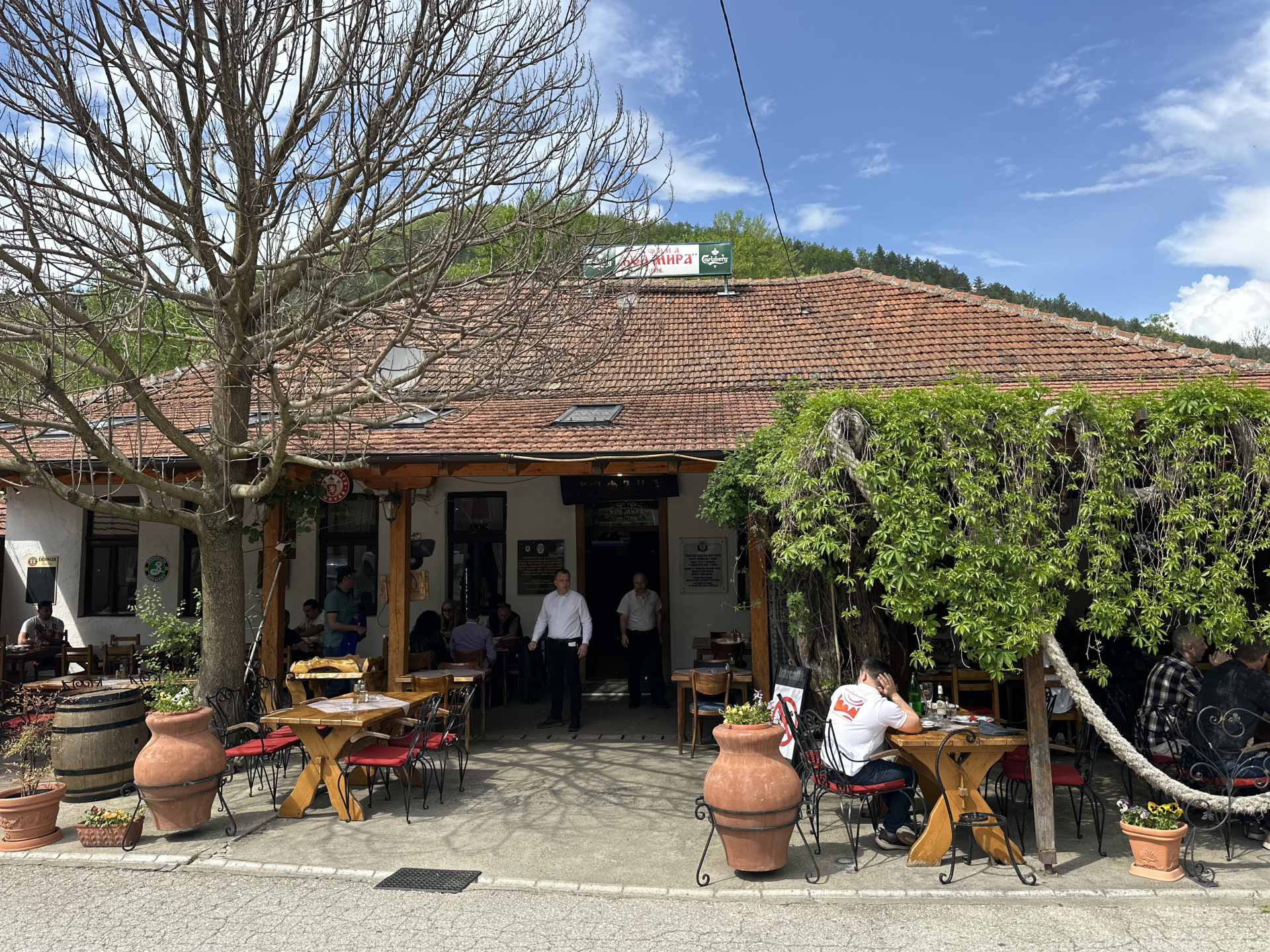 Kafana Kod Mira je najstarija u Srbiji - čuveni svetski portal proglasio je najboljom/ Foto: RINA
