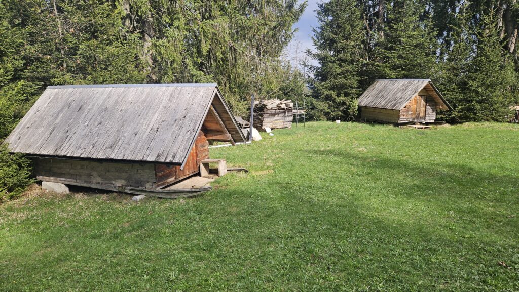 Prvi put gosti uđu bojažljivo, ali kad se probude budu oduševljeni: Ovo su čuveni kućeri u kojima su nekada spavali čobani, Simovići sa Kamene Gore i dalje čuvaju tradiciju (FOTO)