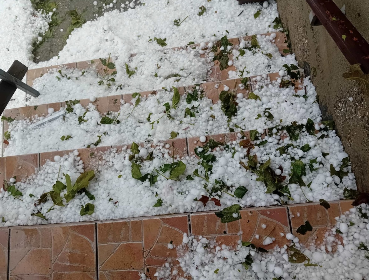 Sve je uništeno, ovo je užas - ne smemo ni da izađemo u voćnjak: Nezapamćeno nevreme potuklo šumadijska sela, ogromne štete na imanjima (FOTO)