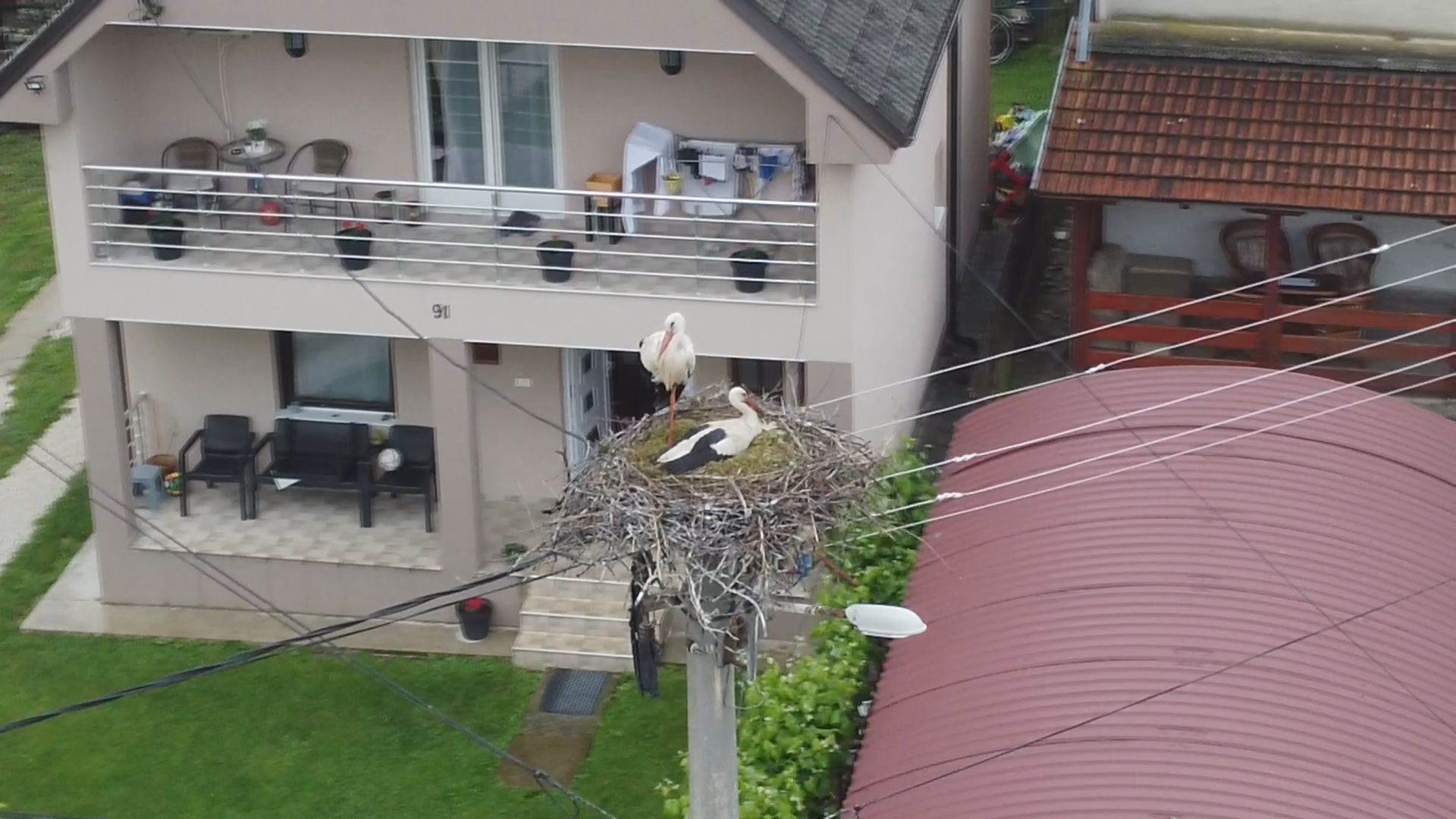Drama na banderi, desetak roda u borbi za napušteno gnezdo u čačanskom naselju Lugovi: Dugonoge ptice obožavaju grad na Moravi, sada se pojavile i jako retke crne rode (FOTO)