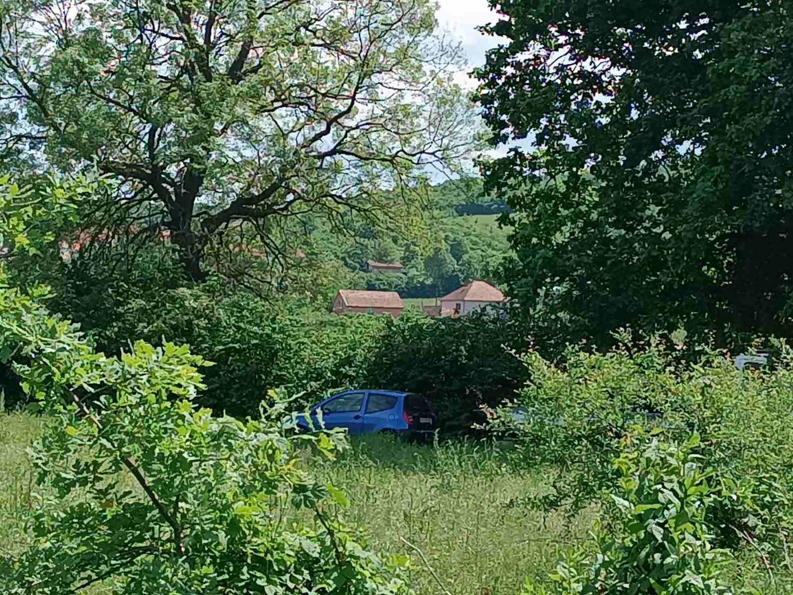 Ovo je mesto užasa u Kragujevcu: Prekršio zabranu prilaska i ubio bivšu partnerku, potom - pokušao da se ubije (FOTO)