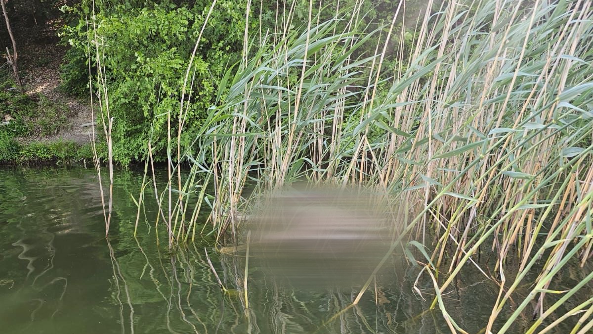 Jeziva scena u Kragujevcu: Pronađeno telo u fazi raspadanja na obali Šumaričkog jezera (FOTO)