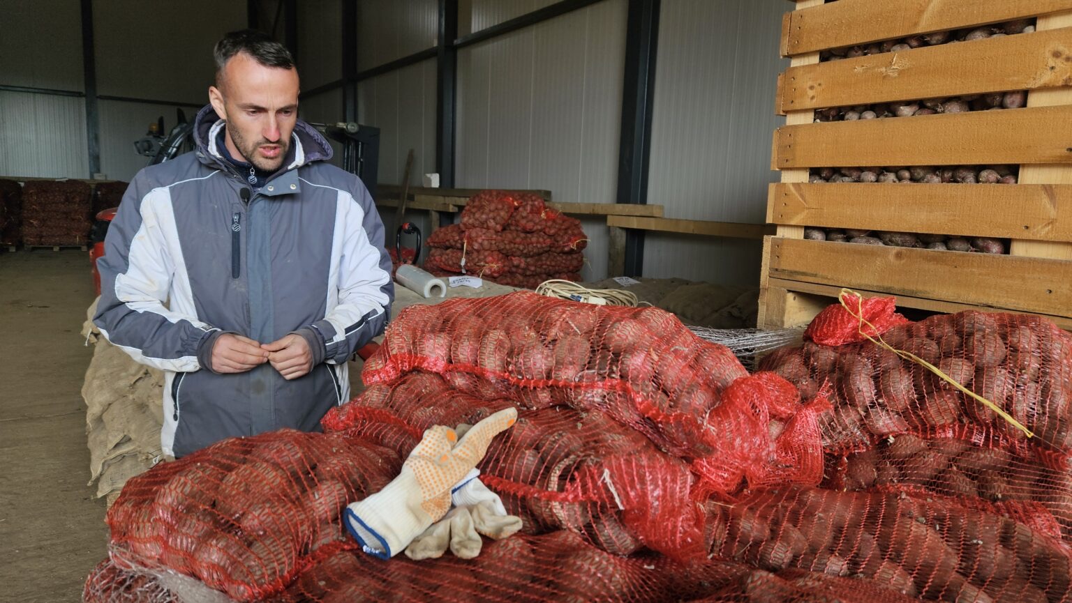 Godišnje proizvedu preko 900 tona krompira: Gujaničići iz sela Akmačići na 1.200 metara nadmorske visine se bave poljoprivredom (FOTO) 