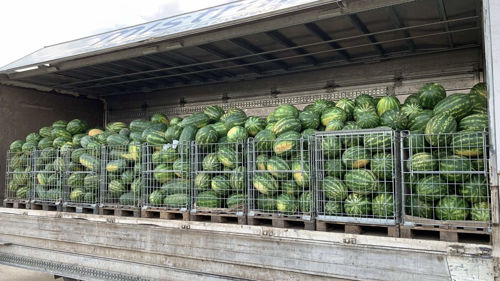 Ostao u svom selu i vredno radi, proizvede na tone i tone lubenica godišnje: Sava iz Deronja mladi poljoprivrednik za primer, sa porodicom obrađuje preko 100 hekatara zemljišta (FOTO)