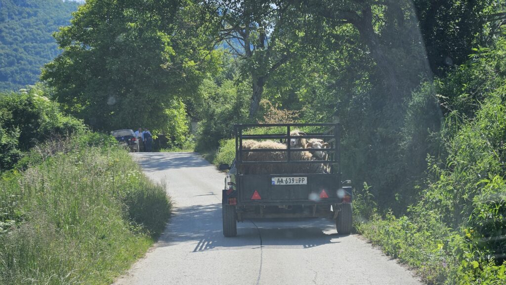 Odličan ekološki potez pred veliki praznik: Muslimani obeležavaju Kurban Bajram, organiovano prikupljanje klaničnog otpada na teritoriji Prijepolja u petak