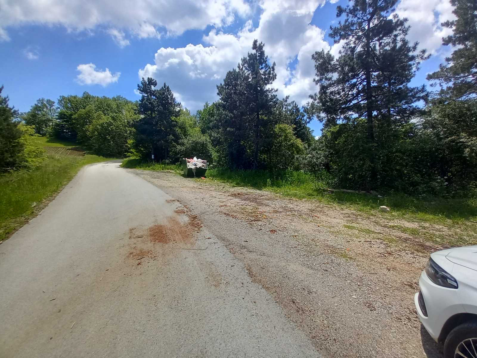 Mrtvi psi u selu Rajac kod Čačka / foto: Privatna arhiva