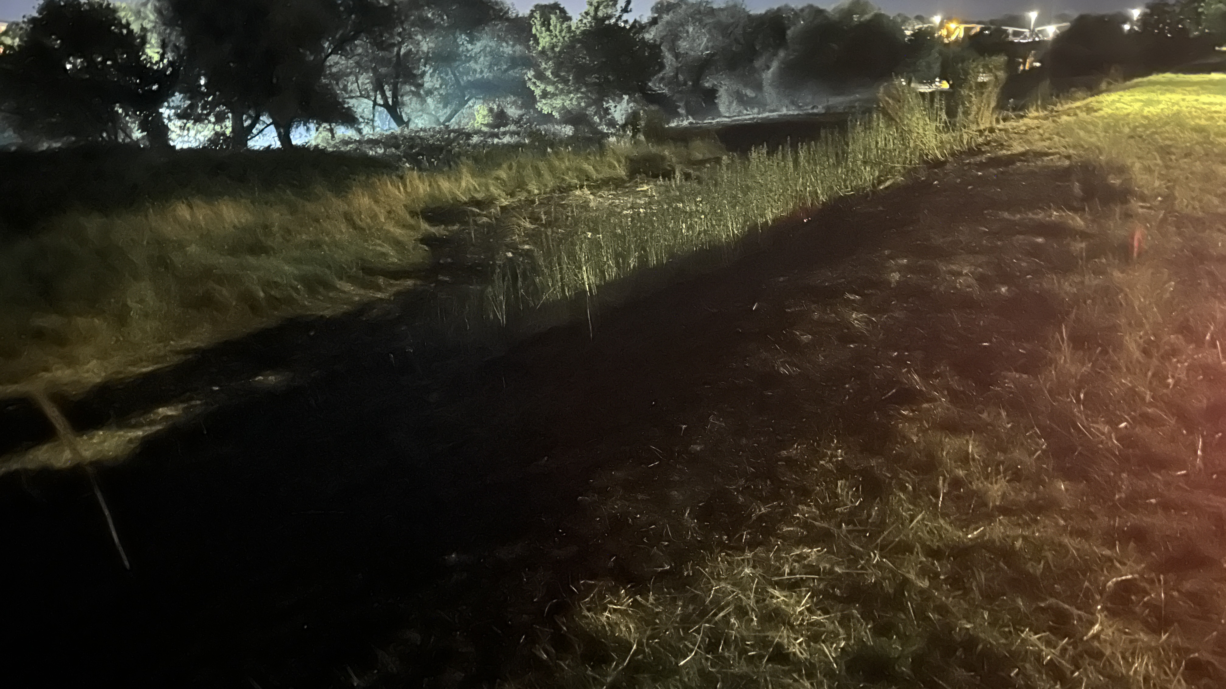 Ogroman plamen i naselje puno dima, Čačani žrtve nasavesnih ljudi: Izbio veliki požar na bedemu u Ljubiću, vatrogasci-spasioci uspeli da lokalizuju stihiju (FOTO)