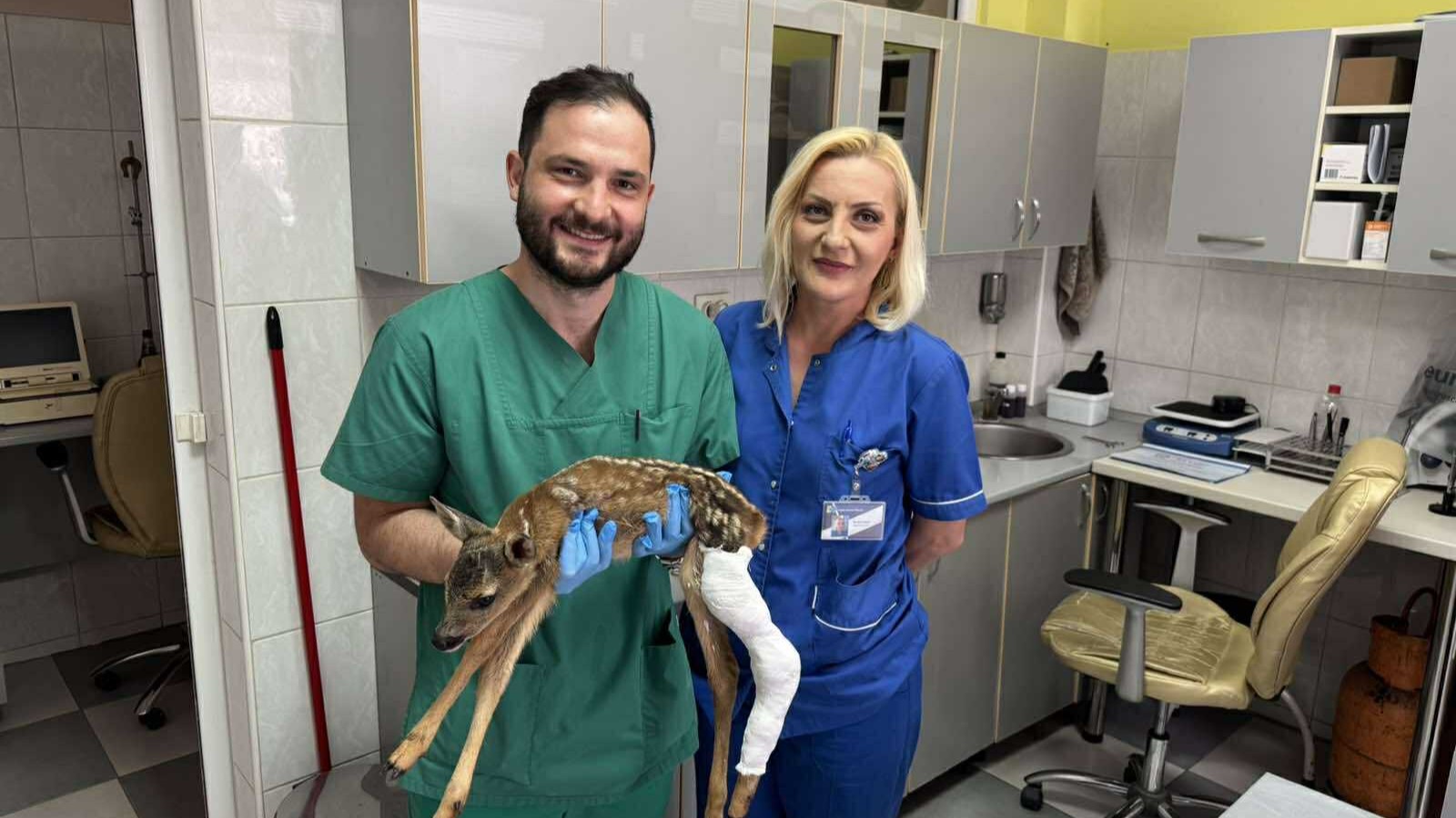 Doktor Kerim Halilović intervenisao kod povrede tek rođenog laneta / foto: Privatna arhiva