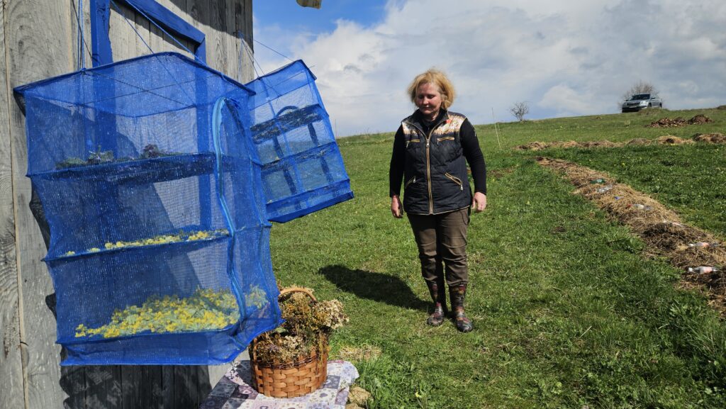 Irina se iz Rusije preselil u selo Kamena Gora kod Prijepolja / foto: RINA
