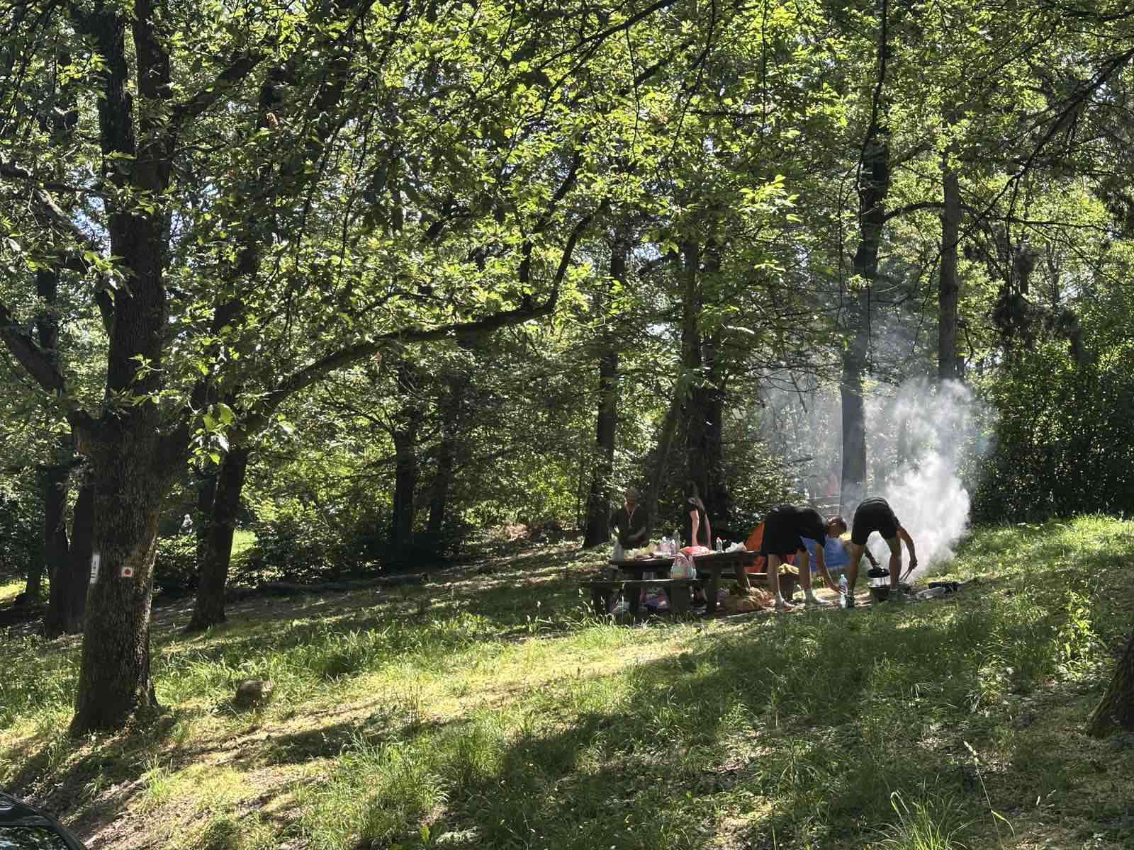 Apartman 30 eura, a čitava kuća za 60 - cene u restoranima takođe povoljne: Planina u srcu Šumadije pravi raj a nije paprena, Jelena iz Beograda svake godine letuje na Kosmaju (FOTO)