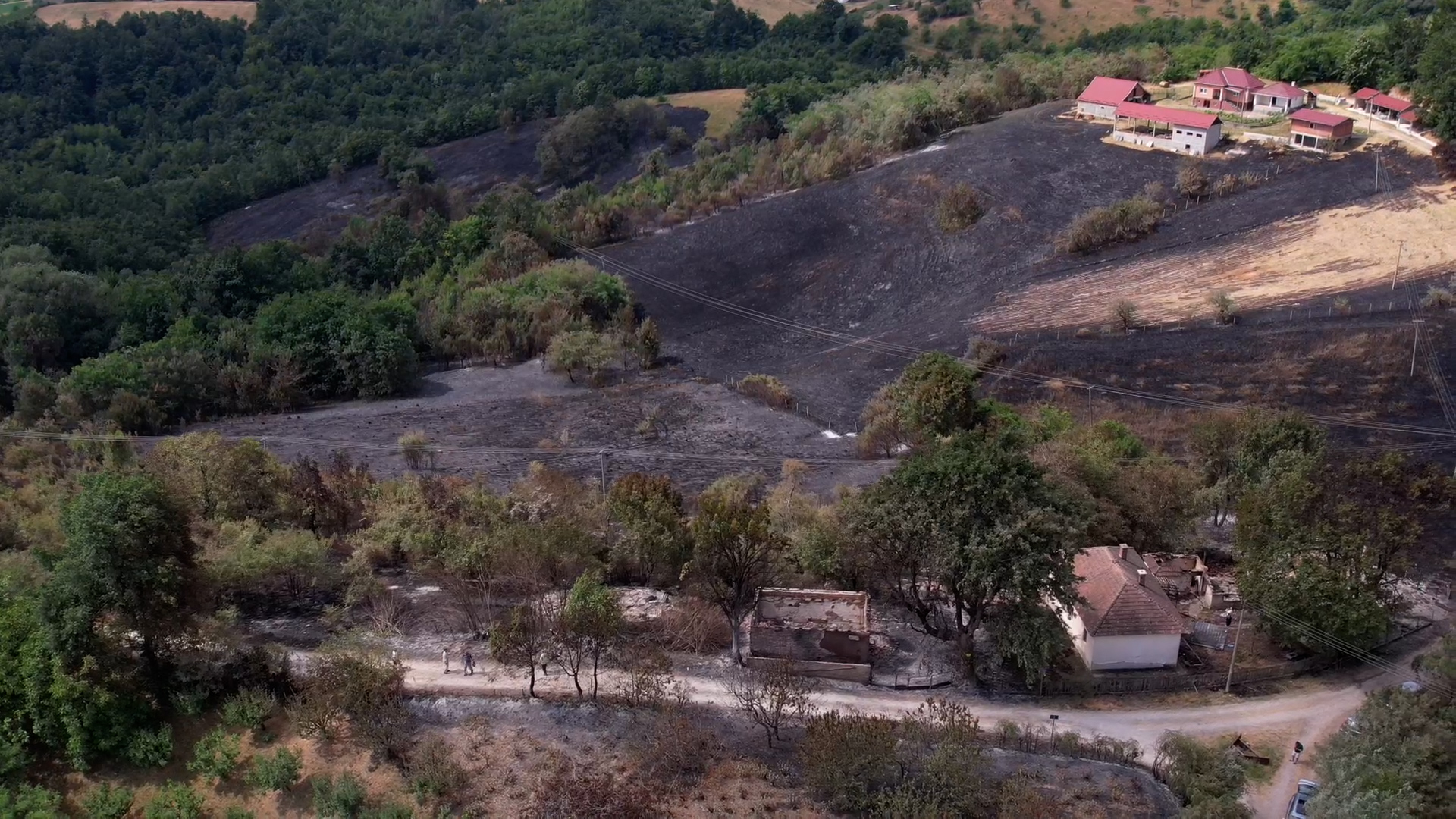U Srbiji više od 1.400 požara ugašeno za deset dana: Vatrogasci tihi heroji današnjice