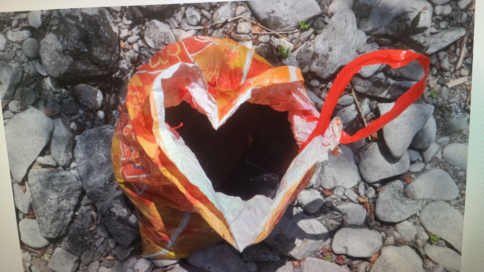 Jezivi zločin u Mionici: Starac udavio šest štenaca i snimak objavio na mrežama (FOTO)