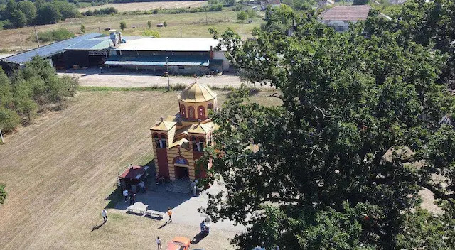 Razdvaja dva grada, ali ne i ljude: Celo selo kod Čačka sjatilo se ispod jednog hrasta da obeleži sveca zaštitnika - ovako se čuvaju srpski običaji i tradicija (FOTO)