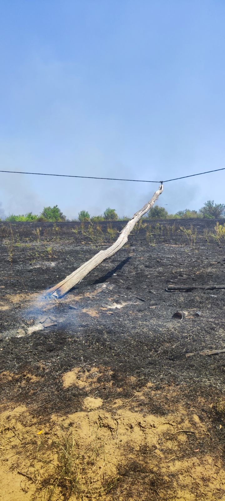 Vanredna situacija uvedena u Kladovu, vatra guta oko 150 hektara površine: Sve raspoložive jedinice su na terenu kao i helikopteri - ovo su slike sa lica mesta (FOTO)