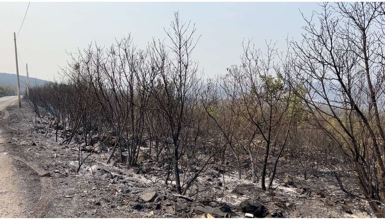 Teško se diše, vazduh štipa za oči i nos: Podgorica pod oblakom dima - građani izlaze napolje samo kad moraju, a od danas u državnim apotekama dele se besplatne maske (FOTO)