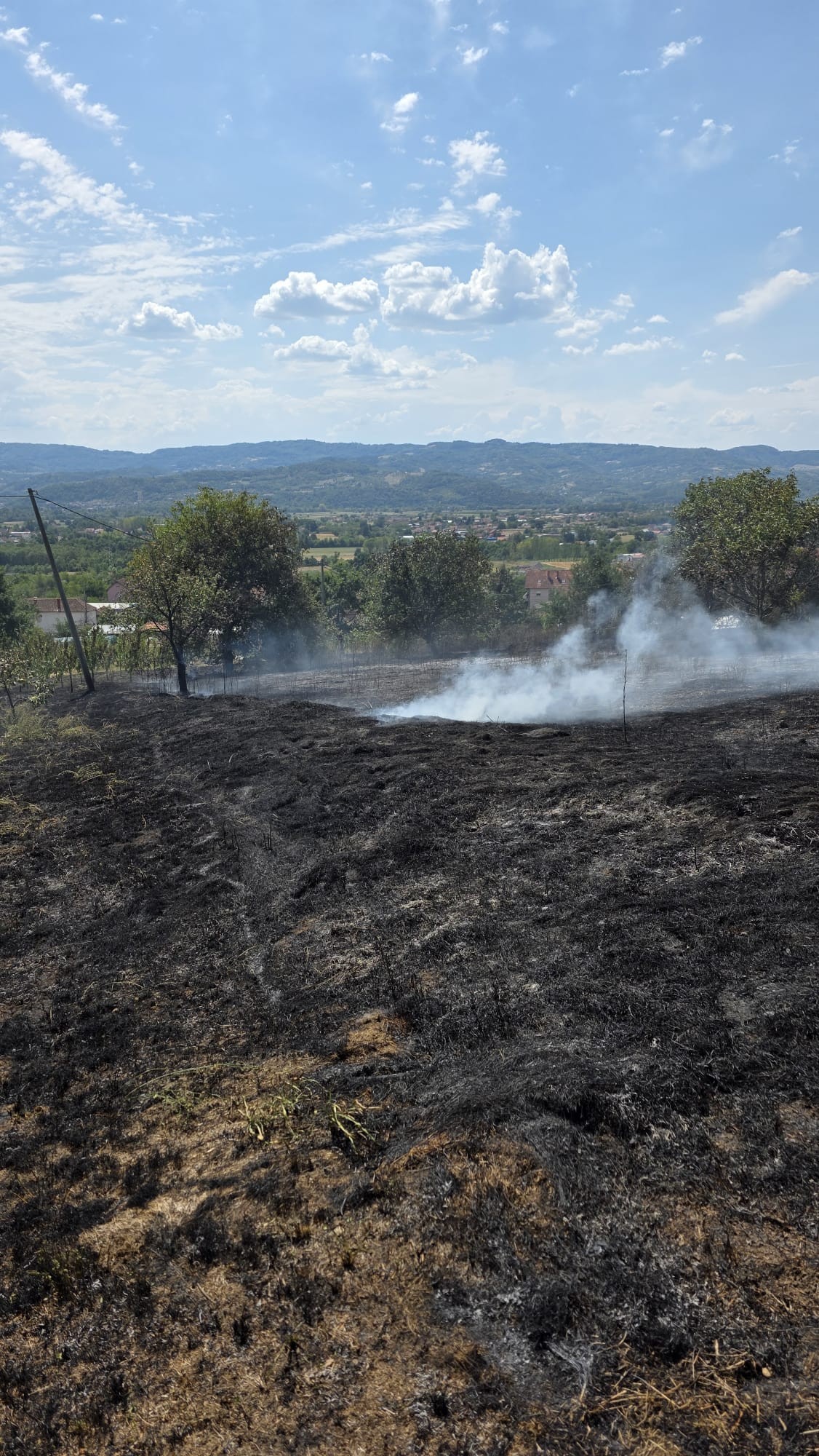 Požar u Trbušanima / foto: RINA