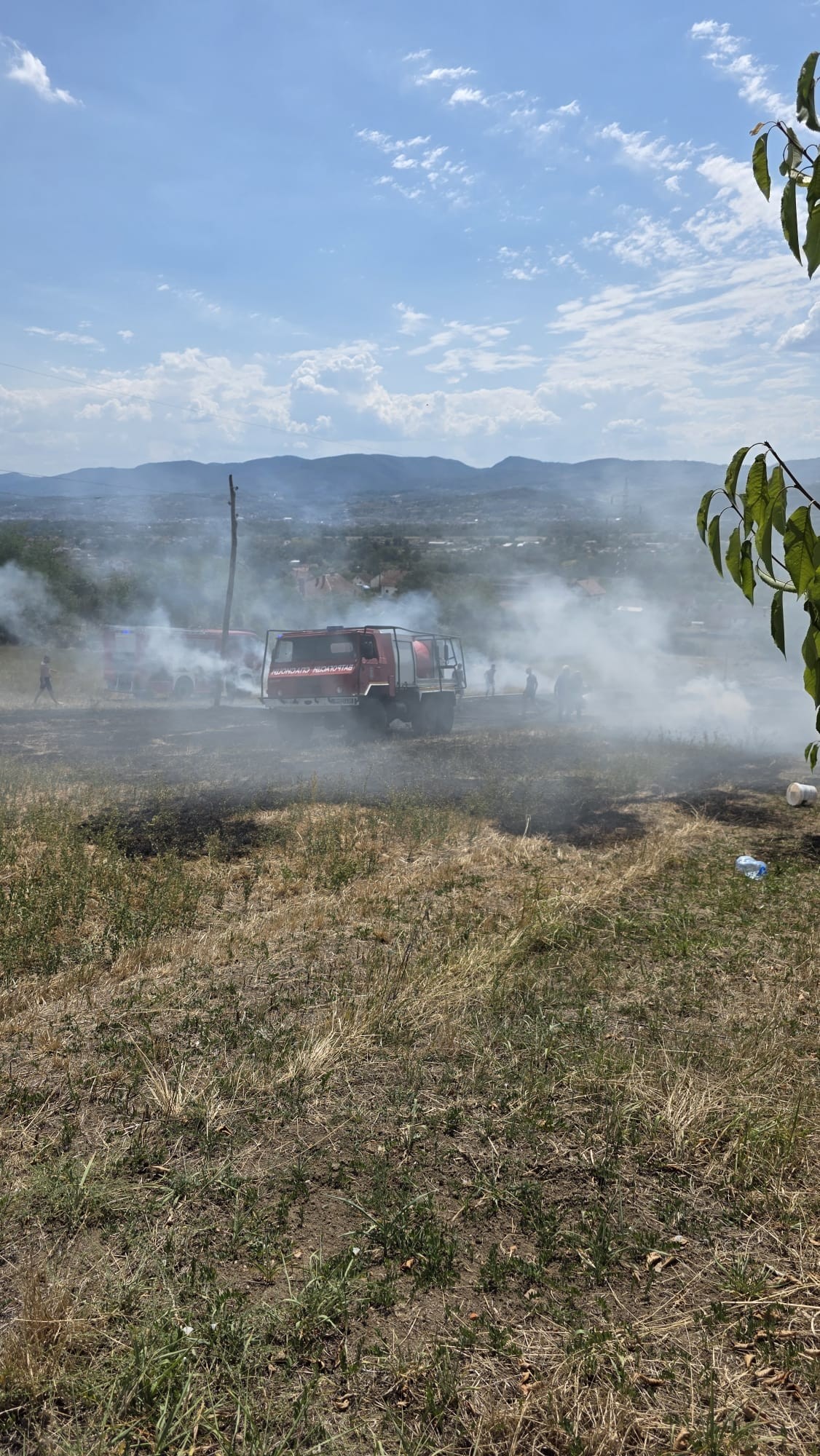 Požar u Trbušanima / foto: RINA