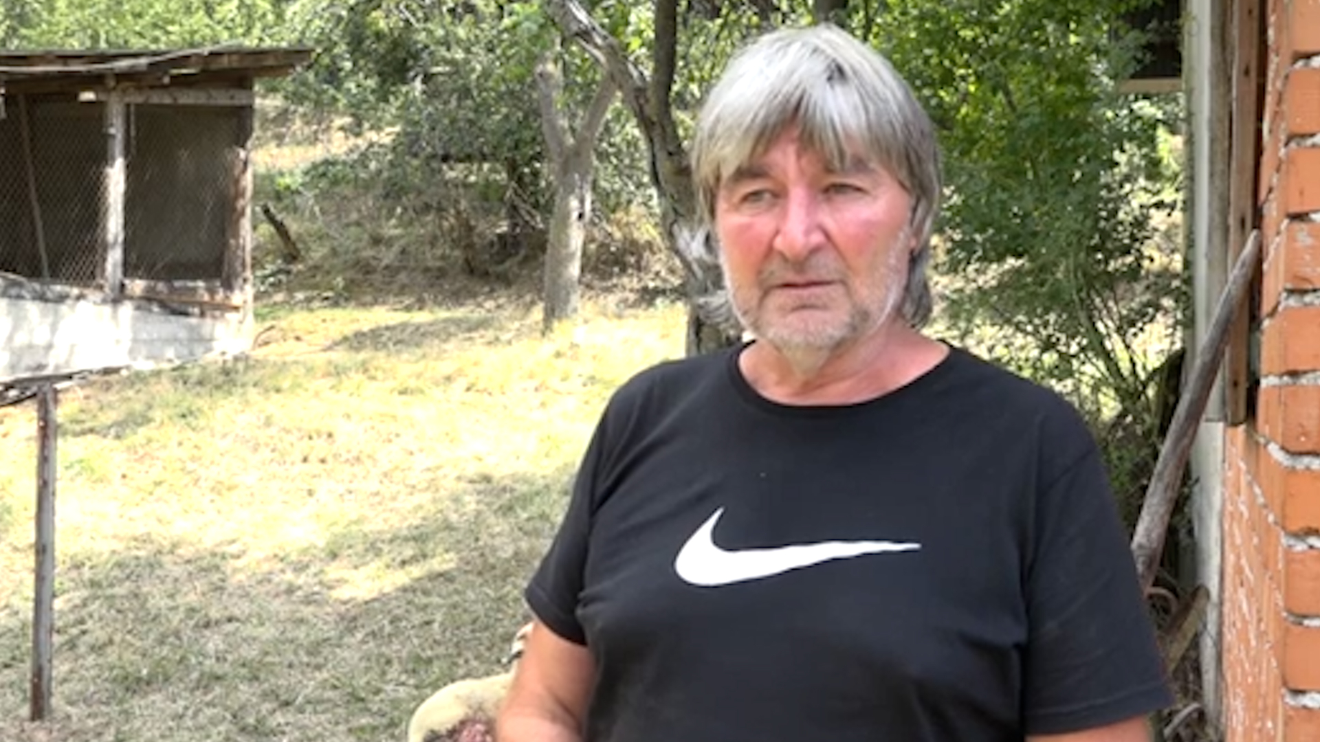 Jeziv pokolj u Priboju, psi lutalice rastrgli osamnaest ovaca : Ljubinku Pjanoviću treći put uništeno stado ovaca/ Foto: RINA