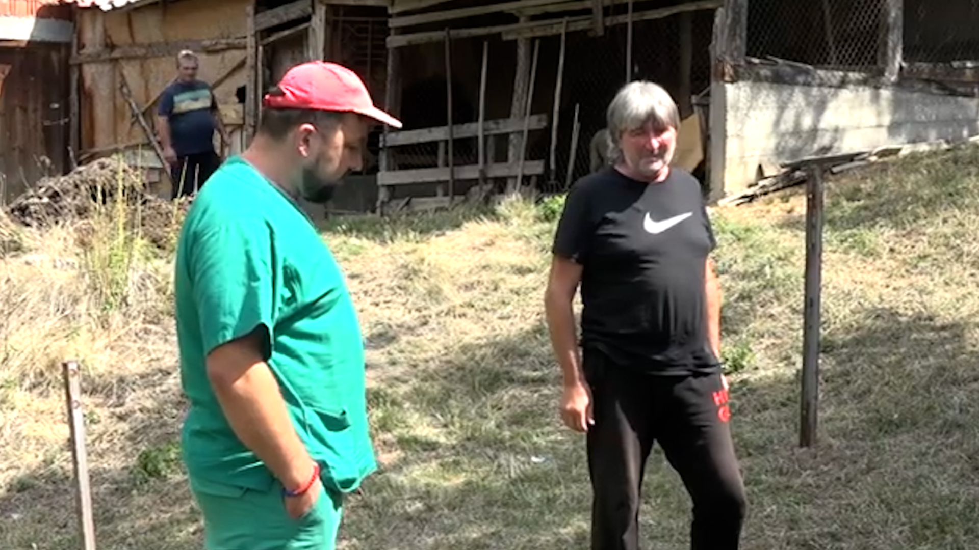 Jeziv pokolj u Priboju, psi lutalice rastrgli osamnaest ovaca : Ljubinku Pjanoviću treći put uništeno stado ovaca/ Foto: RINA