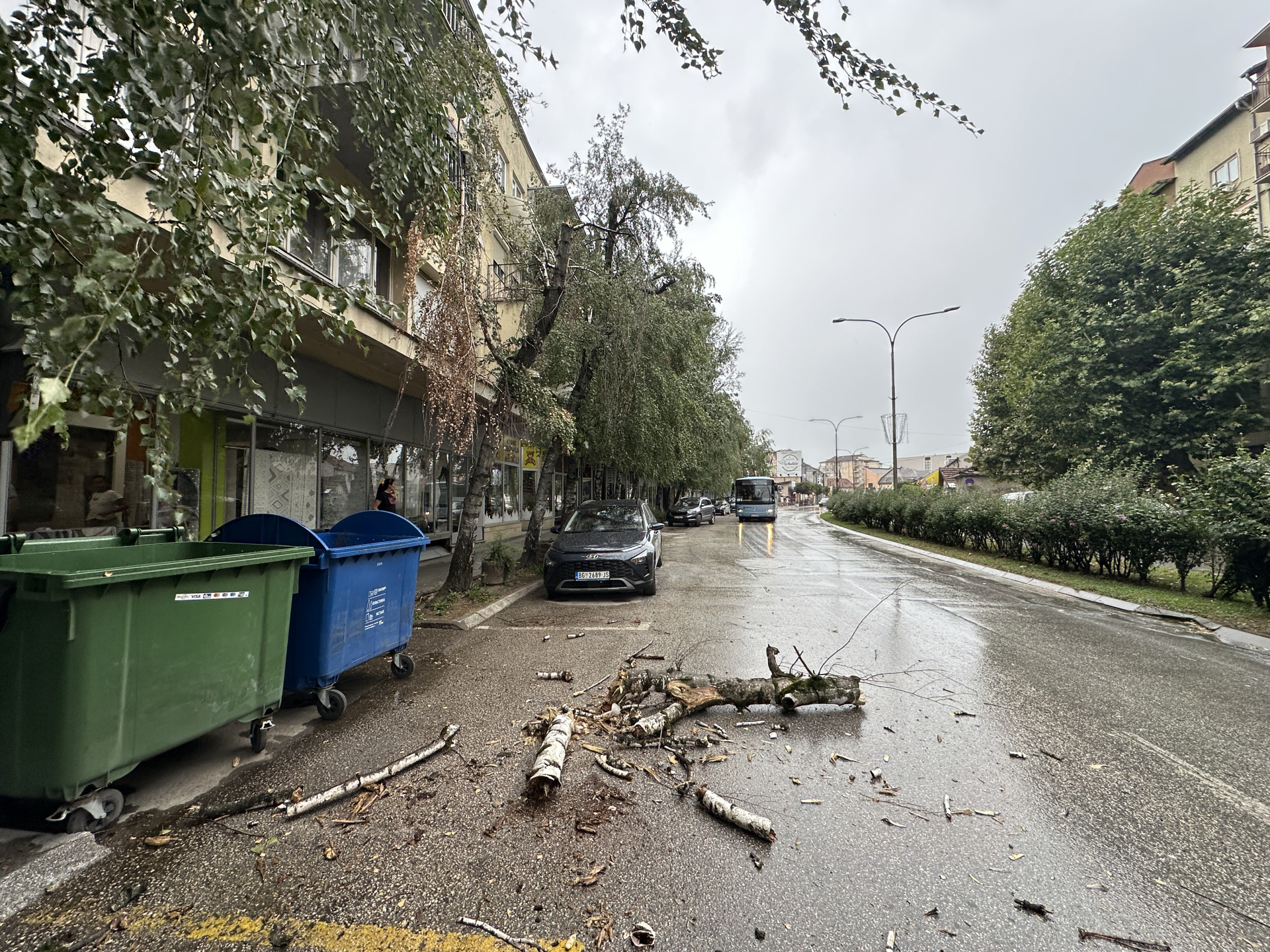 Drveće padalo na ulice, jedno vozilo oštećeno: Jako olujno nevreme napravilo haos u Čačku, tragedija izbegnuta za dlaku (FOTO)