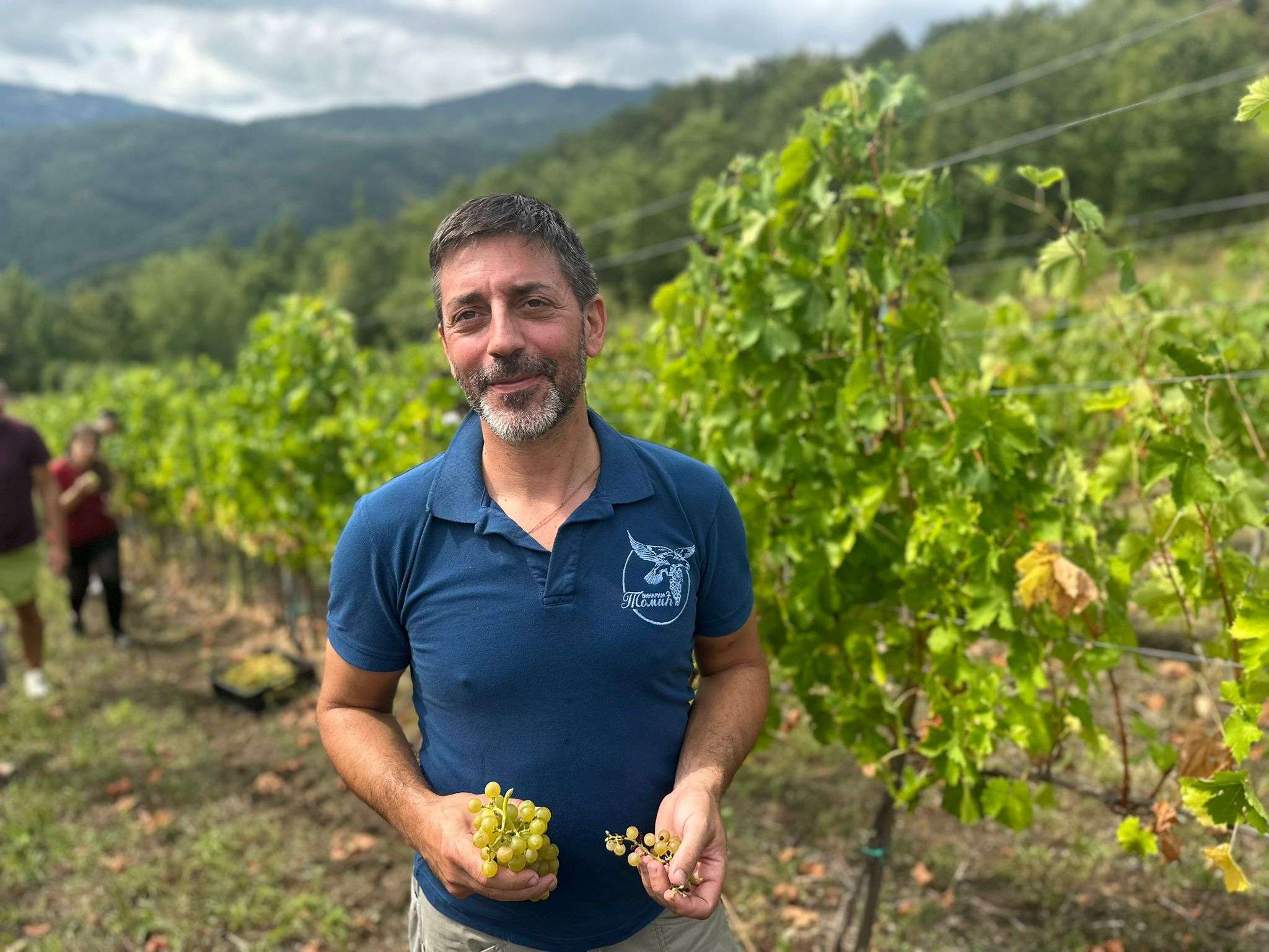 Ne rađaju na svakom brdu u Čačku šljive, već i grožđe: Tomići sa Kablara imaju vinograd za ponos i brižljivo neguju tradiciju, rod i kvalitet grožđa odlični (FOTO)