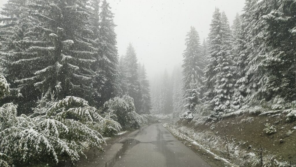 Očekivali smo pre tropsku temperaturu, nego sneg početkom oktobra: Meštani sela na Zlataru navikli poslednjih godina na blage zime - danas tamo čitav dan pada sneg, ovo su slike sa lica mesta (FOTO)(VIDEO)