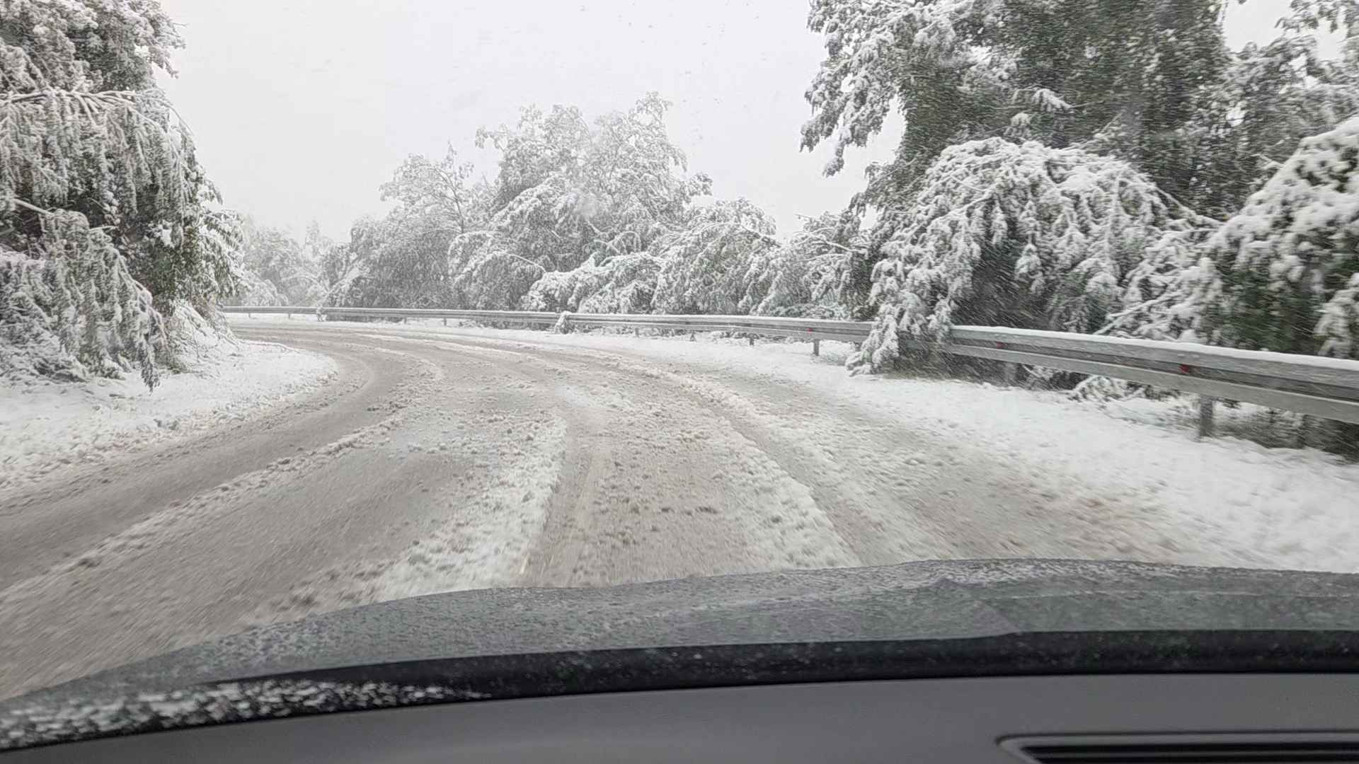 Kritično kod Ivanjice, putevi blokirani zbog oborenih stabala: Ekipe na terenu prvo uklanjanju drveće i lišće pa tek onda čiste sneg - meštani sela odsečeni od sveta (FOTO)