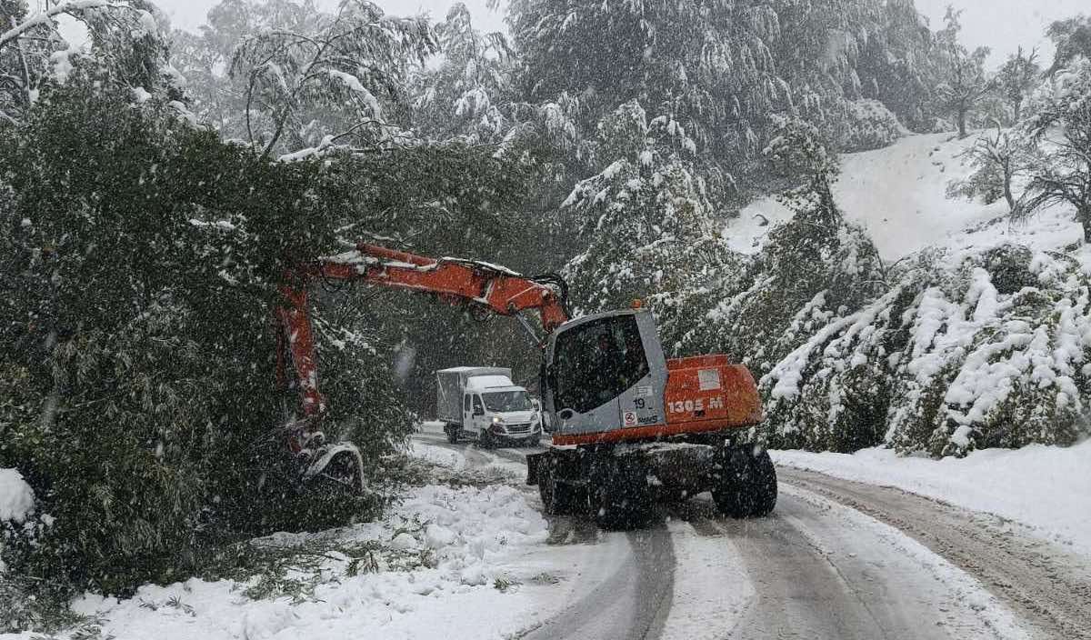 Neprohodan put preko Odvraćenice, zabrana saobraćaja za teretnjake: Jak vetar i veliki broj popadalih stabala otežava posao putarima (FOTO)