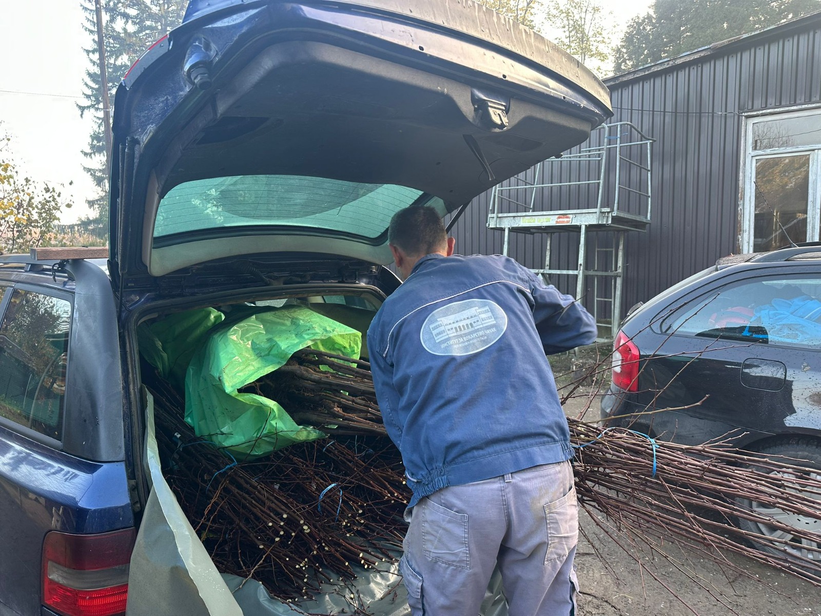 Nema odmora za čačanske voćare: Nakon berbe počela jesenja sadnja, stručnjak otkriva - ovo sada su idealni uslovi a najtraženija je ubedljivo šljiva (FOTO)