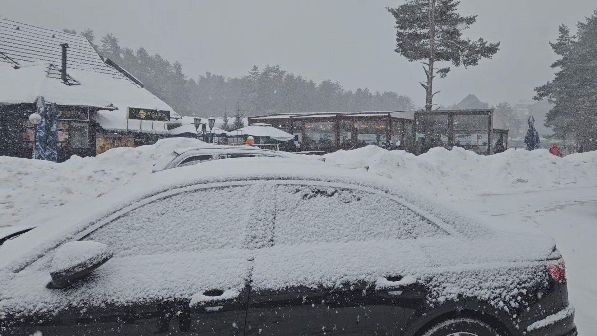 Preko 20 centimetara snega na Zlatiboru, u Užicu lomio grane i stabla: Zima stisla zube u ovom delu Srbije, za sada nema zavejanih puteva 