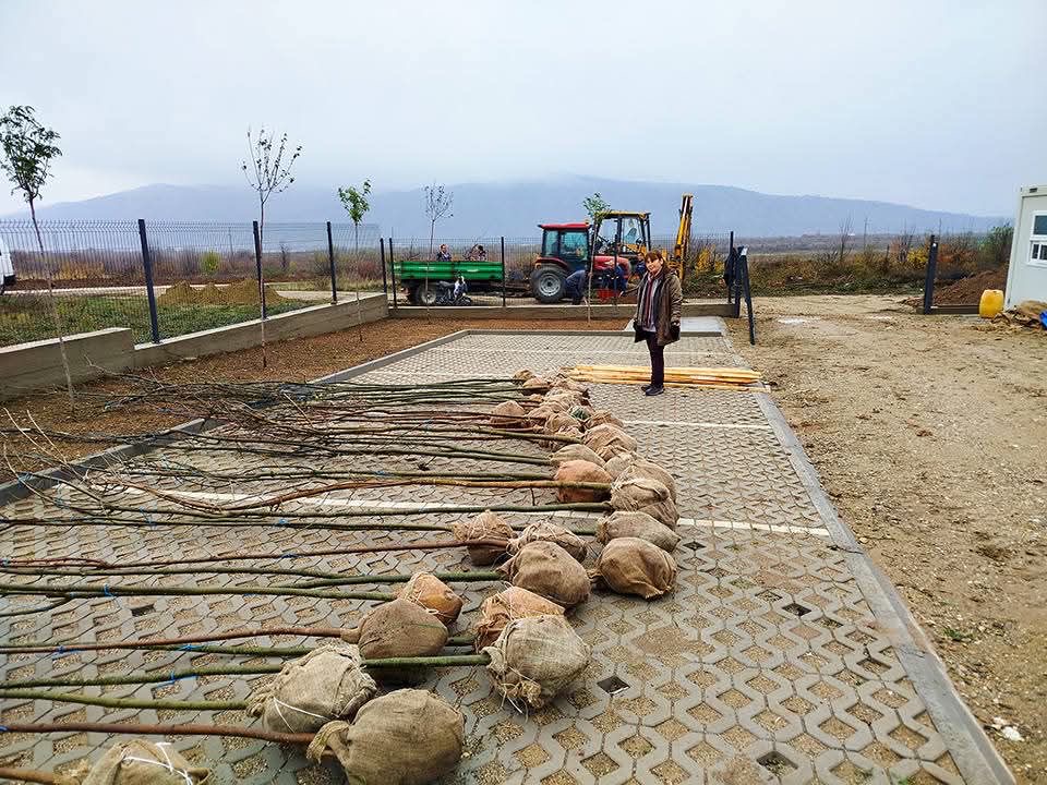 Ovo je jedna od načistijih i najuređenijih opština na istoku Srbije: Tokom ove godine posađeno preko 30.000 cvetnica u Kladovu (FOTO)