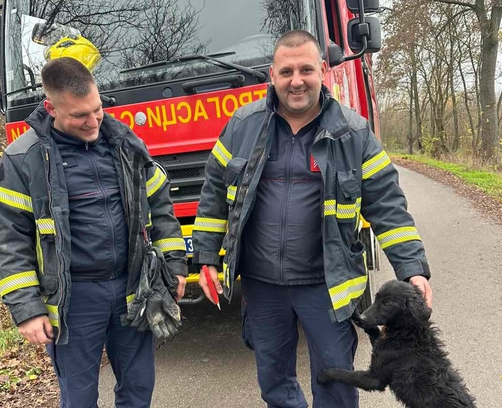 Heroji iz Sopota, vatrogasci se spuštali 20 metara u dubinu da spasu psa iz bunara (FOTO)(VIDEO)