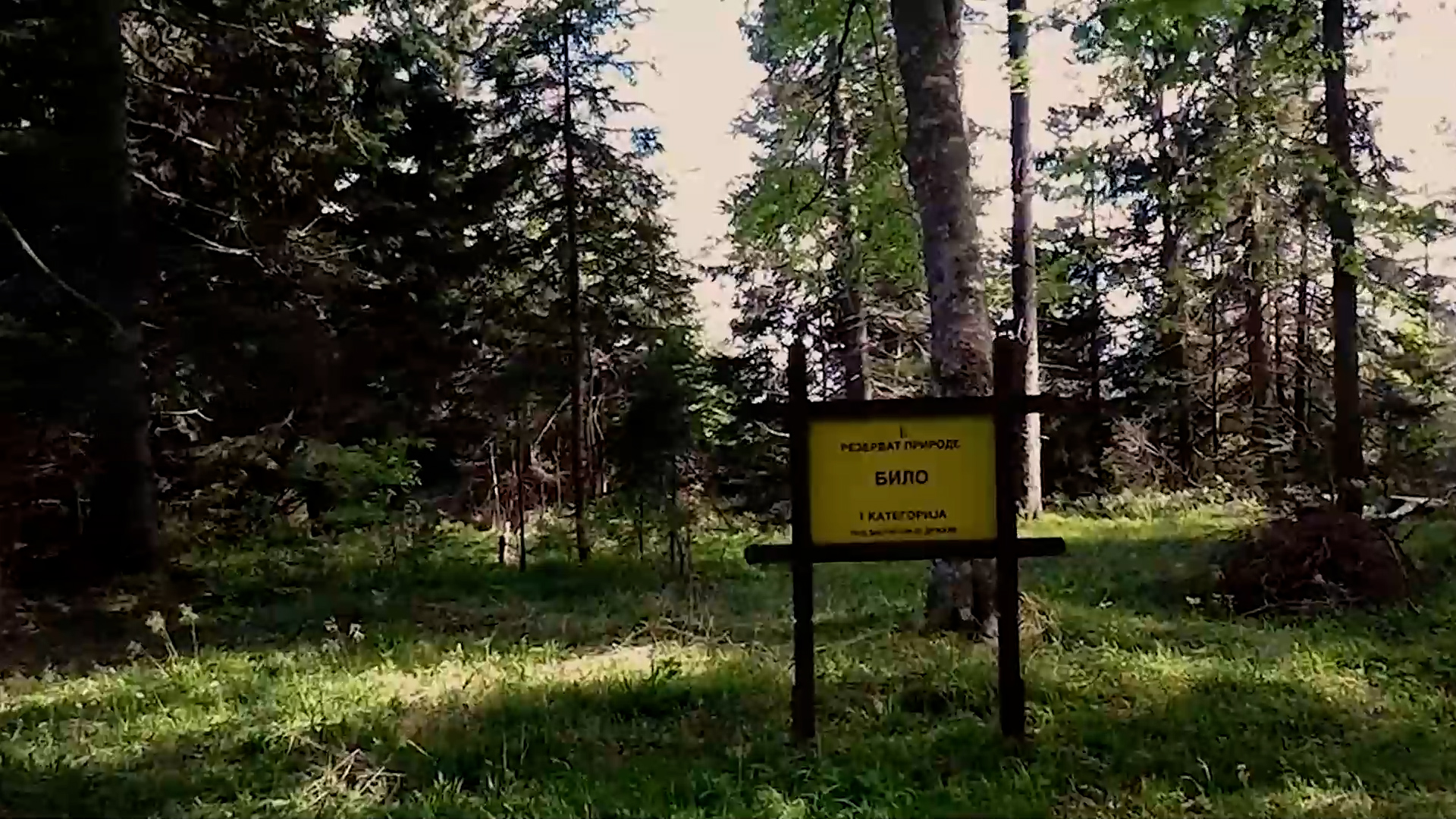 Na Tari se nalazi 17 specijalnih rezervata prirode / foto: RINA