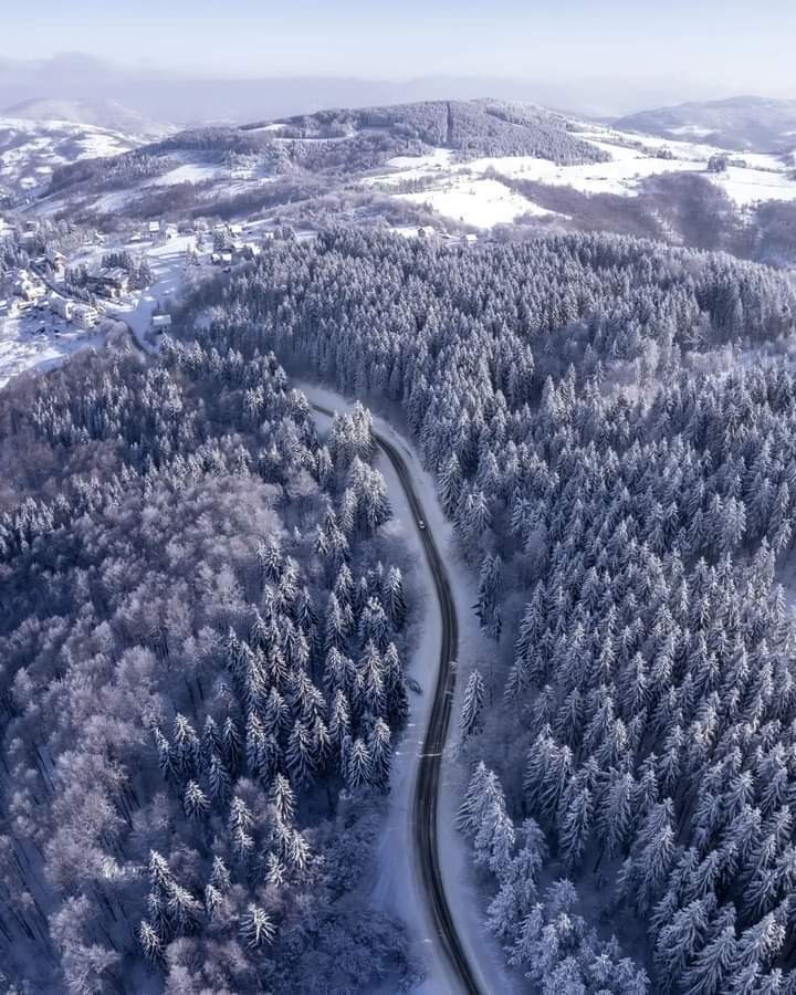 Ovo je jedno od najjeftinijih skijališta u Srbiji a nalazi se na samo 230 kilometara od Beograda: Na planini Javor potpuno besplatna ski škola za decu i čaj na stazi - odmor u netakntoj prirodi sve popularniji (FOTO)