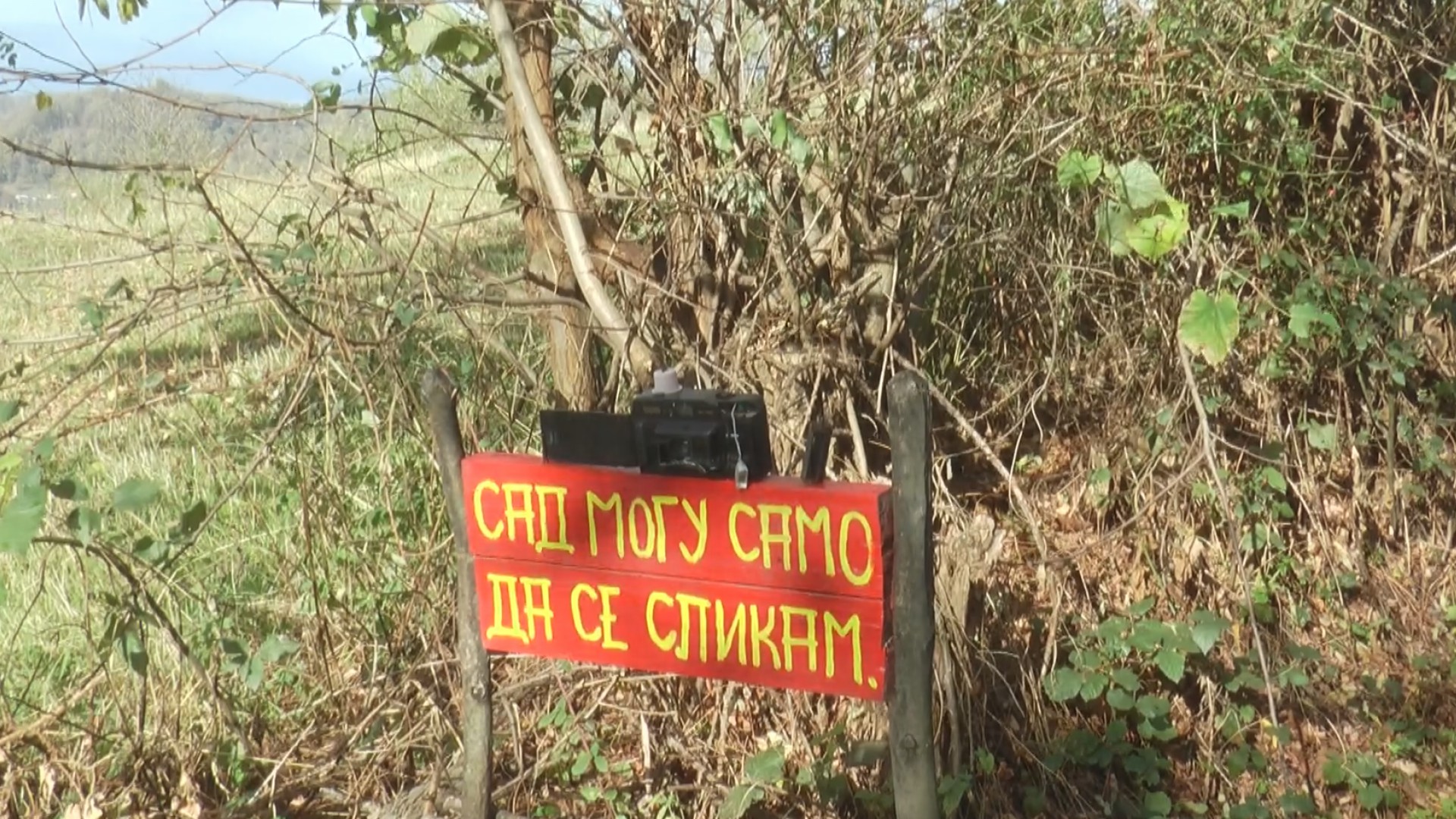 Rudnik - prelepa planina, ali još uvek nedovoljno iskorišćena: U narednih pet do deset godina sve se menja, veliki planovi za razvoj ove turističke lokacije (FOTO)(VIDEO)