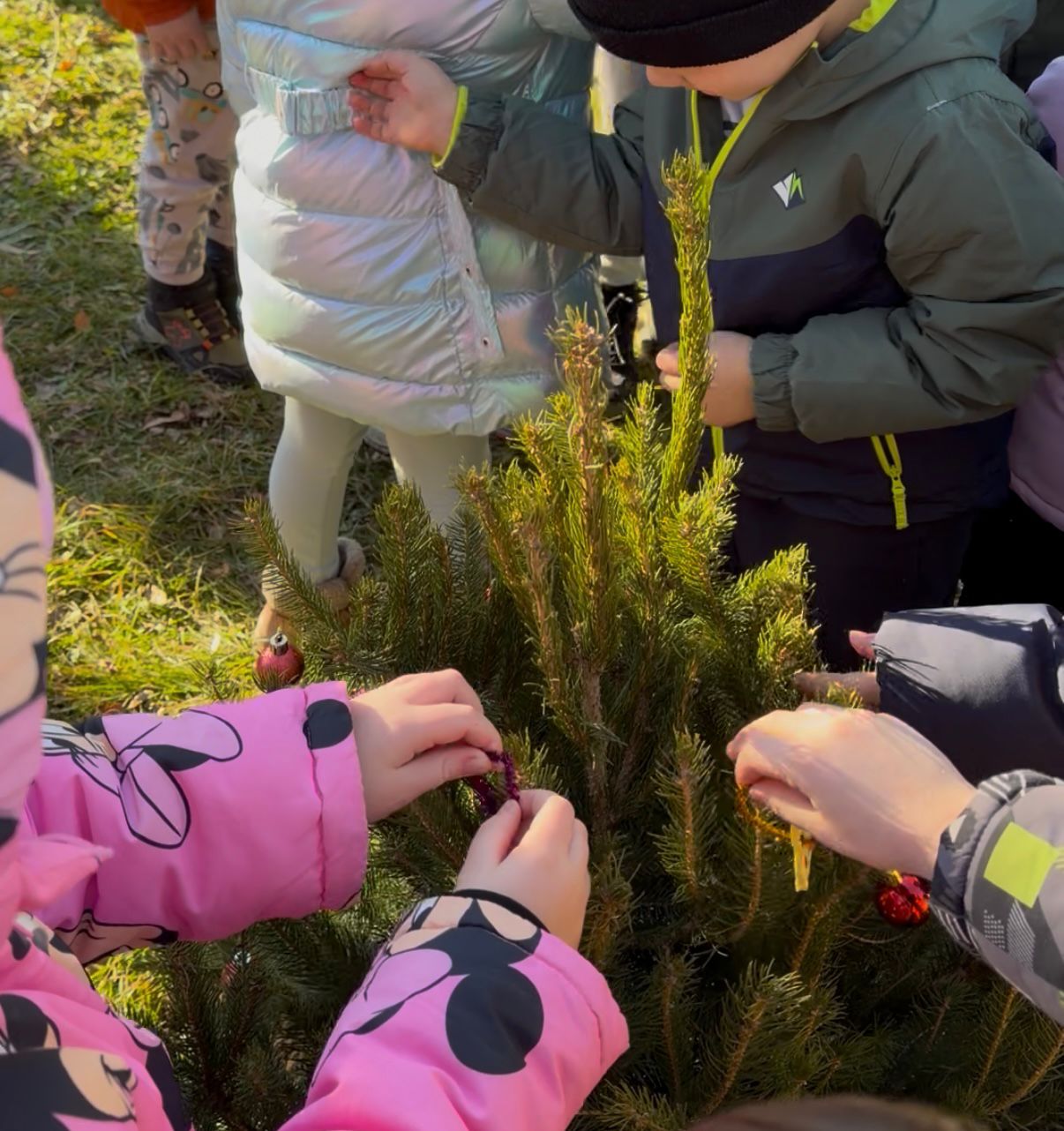 Mališani posadili prirodne jelke u vrtiću / foto: RINA