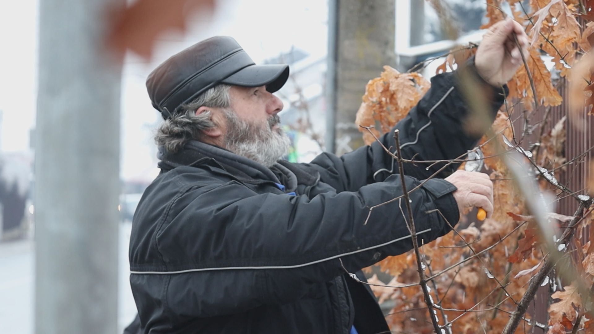 Dirljiva priča uoči Božića: Tri sestrice izgubile majku sa kojom su svake godine prodavale badnjake - sada smogle snage da za njenu ljubav nastave tu lepu tradiciju (FOTO)(VIDEO) 