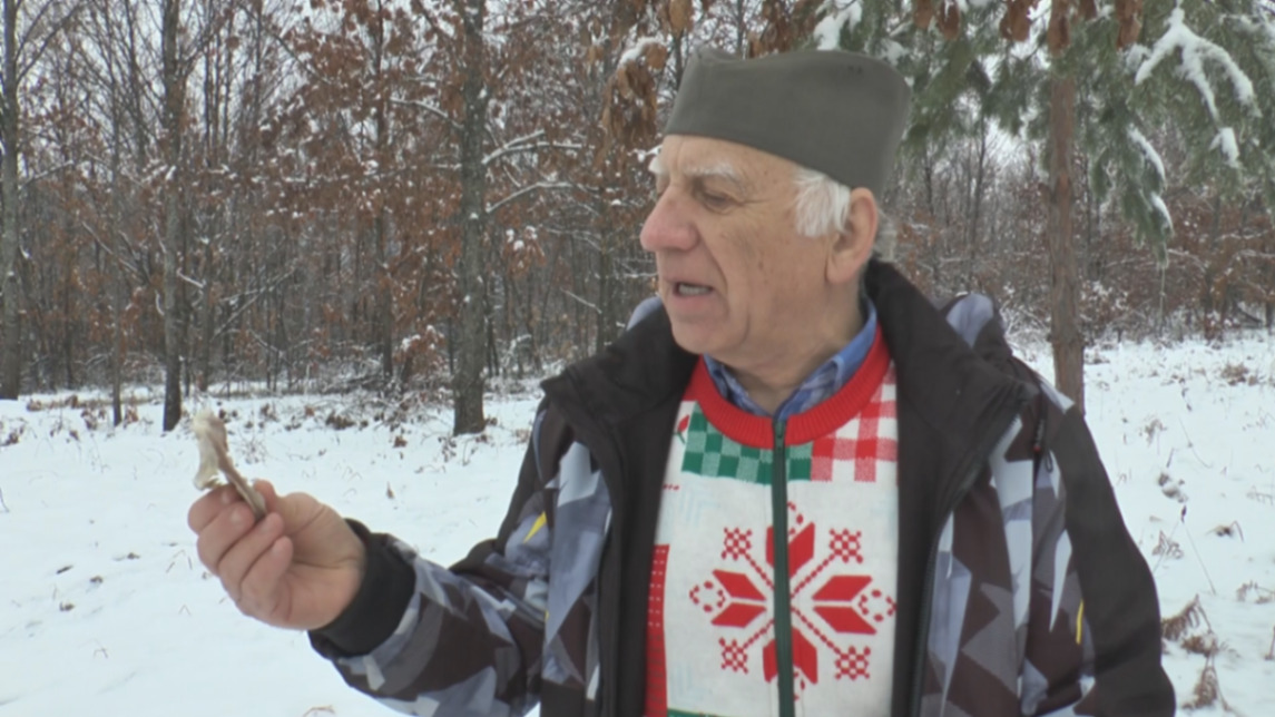Evo šta kaže plećka kakva nas godina čeka: Na Suvoboru se čuva stari običaj za Božić, Milan je jedan od retkih koji u nju zna "da gleda" (FOTO)
