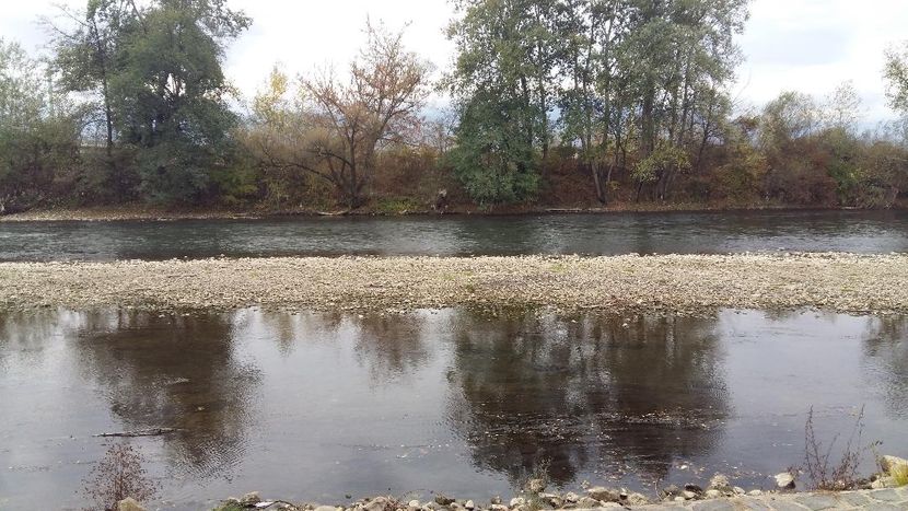 Reka Ibar svake godine se izliva u Kraljevu / foto: RINA