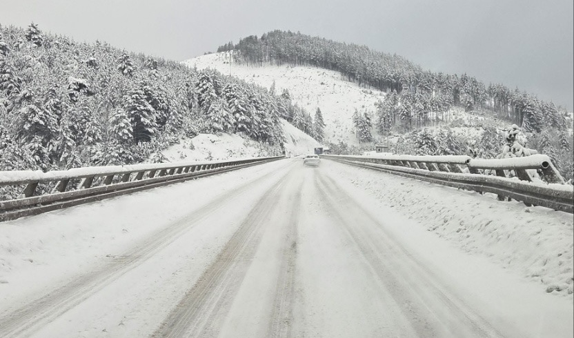 Snežna mećava ponovo na Zlatiboru / foto: RINA