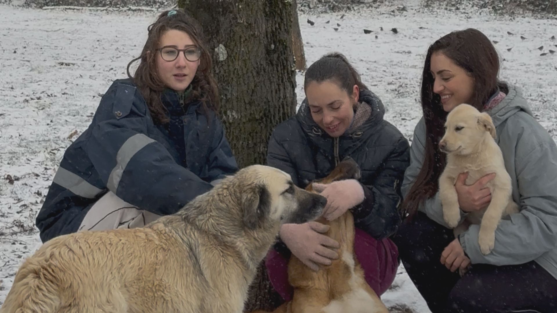 Sve bilo pod vodom, a psi uplašeni - jedino rešenje bio je kajak: Ovo su tri herione koje godinama dobrovoljno brinu o napuštenim psima, snimak kako spasavaju uplašene životinje obišao region (FOTO)