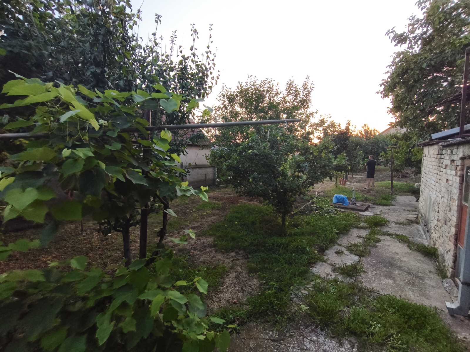 Neobičan oglas za prodaju kuće / foto: Privatna arhiva