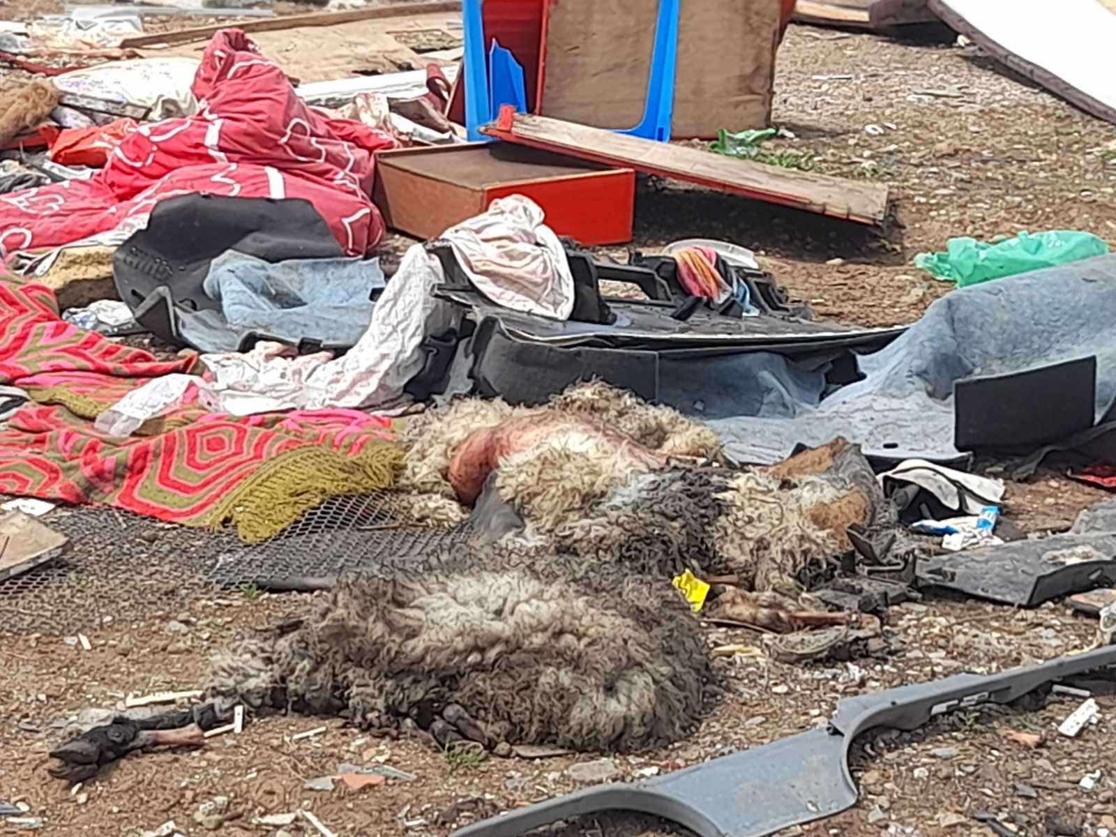 To smrdi, to se pali - to je užas i ekološka bomba: Drama u Ivanjici zbog odlaganja smeća, meštani Čitluka ne dozvoljavaju da im vrate deponiju