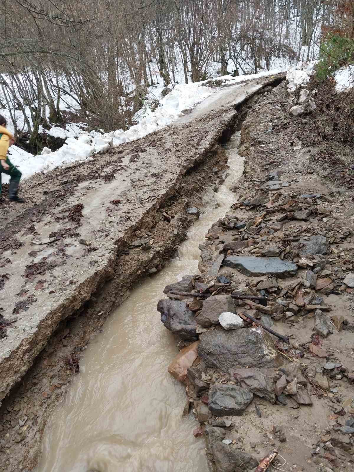 Potop u pograničnim selima kod Priboja/ Foto: RINA