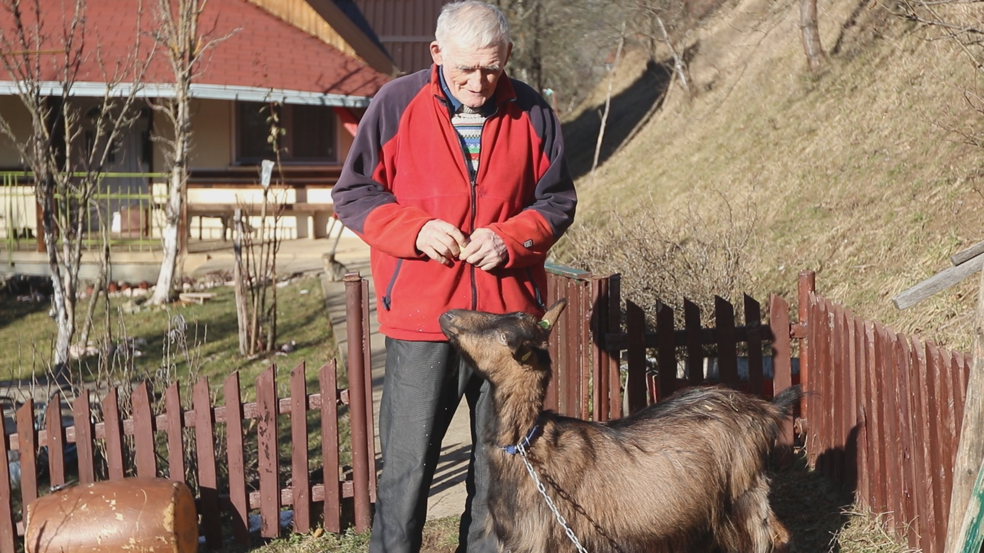 Deda Vide najstariji influenser u Srbiji / foto: RINA
