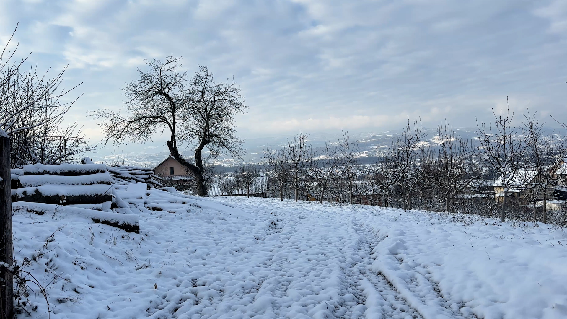 Novi sneg u Zapadnoj Srbiji / foto: RINA